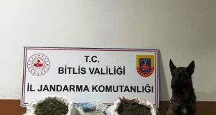 Bitlis'te 10 kilo 200 gram skunk maddesi ele geçirildi