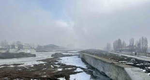 Ağrı'da sis ve don meydana geldi