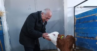 Rektör Çomaklı, büyükbaş hayvan çiftliğinde incelemelerde bulundu