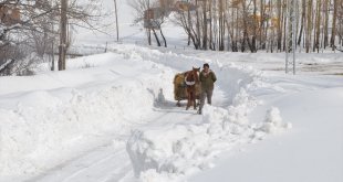 Muş'ta karla kaplı köylerde besiciler hayvanlarına kızakla ot taşıyor