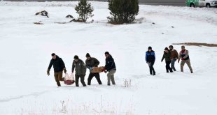 Ardahan'da yaban hayatı için araziye yem bırakıldı