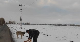 Zorlu kış şartlarında hayvanlara kucak açtı