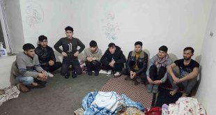 Hakkari'de 9 kaçak göçmen yakalandı