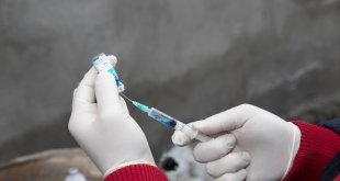 Ağrı'da ekipler köy köy gezerek hayvanlara şap aşısı yapıyor