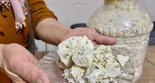 Aylarca toprak altında bekletilen peynirler sofraları süsledi