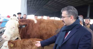 Şap hastalığından dolayı kapalı olan Iğdır Hayvan Borsası yeniden kullanıma açıldı