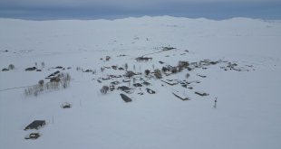 Vanlı çift kışın yalnız kaldıkları mahalleyi hayvanları için terk etmiyor