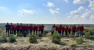 Aras Kargo 16 bin fidanı toprakla buluşturuyor