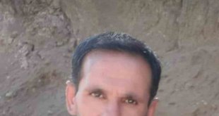 Hizan'da üzerine ağaç devrilen adam hayatını kaybetti
