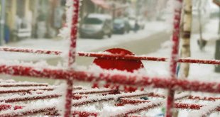 Sibirya soğukları Ardahan'ı dondurdu