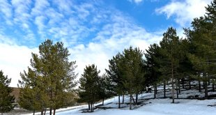 Ağrı'da kartpostallık kar manzaraları