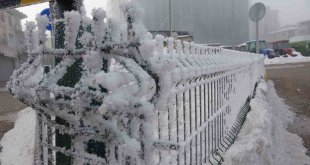 Ardahan'da dondurucu soğuklar hayatı durma noktasına getirdi