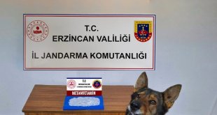 Erzincan'da jandarmadan uyuşturucu operasyonu: 1 tutuklama
