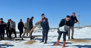 Özalp ilçesinde sokak ve yaban hayvanları için yem bırakıldı