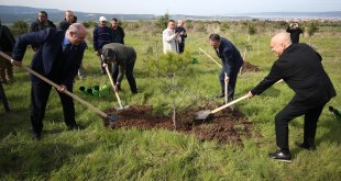 Dardanel, Çanakkale'de 40. yılında hatıra ormanı oluşturdu