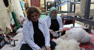 Norduz yününden ilk kumaşlar üretilmeye başlandı
