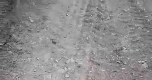 Elazığ'da vatandaşın yılanla diyaloğu gülümsetti