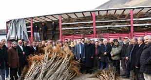 Çatak'ta fidan dağıtım