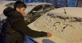 Tatvan'da kar yağışı etkili oldu