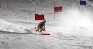 20. İşitme Engelliler Kış Olimpiyat Oyunları