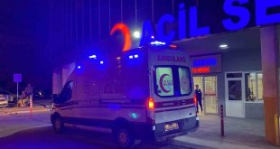 Tercan'da trafik kazası: 7 yaralı