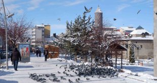 Aç kalan güvercinleri esnaf ve vatandaş besliyor