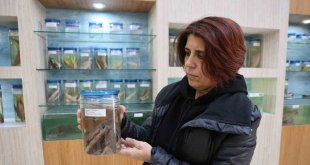 Elazığ'daki 'Balık Müzesi' büyük ilgi görüyor