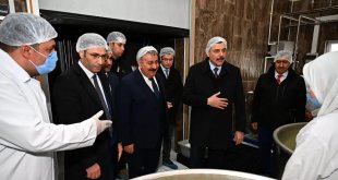 Günde 5 ton çiğ süt işleniyor