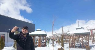 Başkale'de kar manzaraları kartpostallık görüntüler oluşturuyor