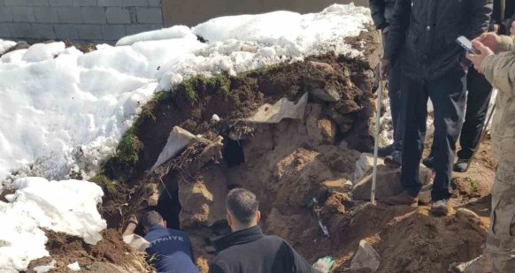 Ağrı'da hayvanlar çöken çatının altında kaldı