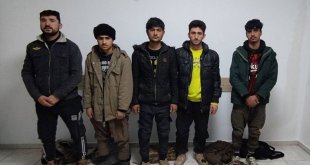 Elazığ'da 5 düzensiz göçmen yakalandı