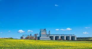 Banvit BRF, arıttığı suyun yüzde 51'ini içme suyu kalitesinde geri kazandı