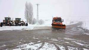 Erzincan'da mart karı
