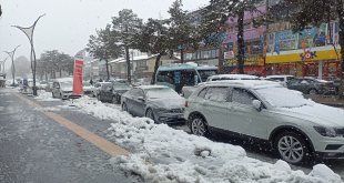Tatvan'da kar yağışı etkili oldu