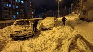Bitlis'te tek katlı evler ve araçlar kar altında kaldı
