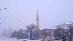 Erzurum'da kış geri döndü, 196 köy yolu kapalı