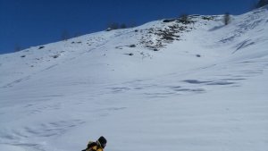 Tilkiyi tuttukları balıkla beslediler