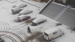 Ağrı'da Mart sonunda kar yağışı