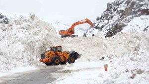Prof. Dr. Alaeddinoğlu: "Van'daki çığların temel nedeni sulu kar"