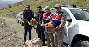 Bitlis'te keklik avlayanlara 106 bin 135 lira para cezası uygulandı