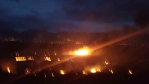 Erzincan'da örtü yangını korkuttu