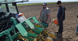 Muş'ta şeker pancarı ekimine başlayan çiftçiler bu yıl yüksek verim bekliyor