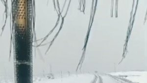 Kars'ta nisanda yağan kar şaşırttı