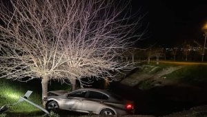 Otomobil ağaca çarptı: 1 yaralı
