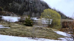 Posof'ta dört mevsim yaşanıyor