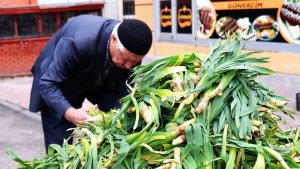 Dağlarda çiriş otu bereketi