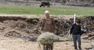Gurbetten köyüne dönen kadın devlet desteğiyle sürü sahibi oldu
