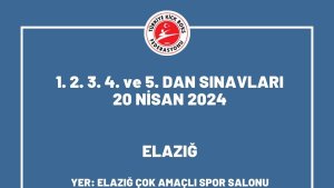 Kick boks dan kuşak sınavı Elazığ'da yapılacak