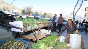Hakkari'de şifalı bitkilere büyük ilgi