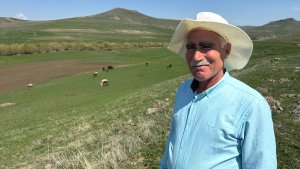 Ağrı'da besiciler kış boyu ahırlarda besledikleri hayvanlarını meraya çıkardı